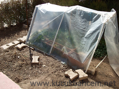 Name:  KucukSeram_KucukBahcem_Bahar_Dikim_hazirlik01.JPG
Views: 29512
Size:  58.5 KB