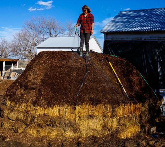 Name:  compost-isitma.jpg
Views: 5001
Size:  62.2 KB