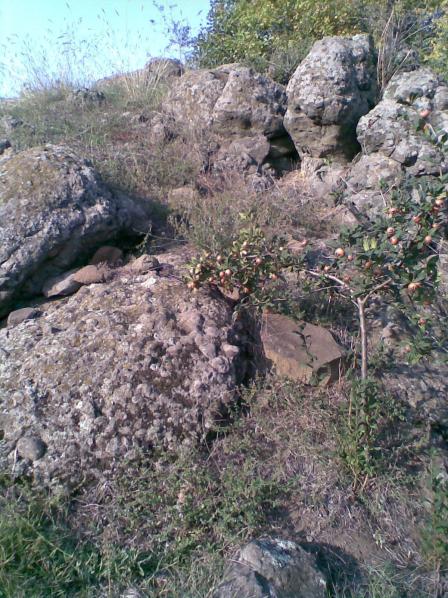 Name:  Salim005.jpg
Views: 57167
Size:  77.1 KB