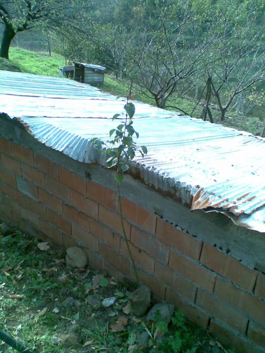 Name:  Salim092.jpg
Views: 7171
Size:  73.4 KB