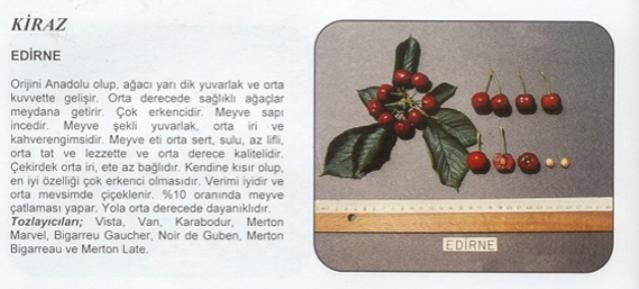 Name:  edirne.jpg
Views: 2923
Size:  28.7 KB
