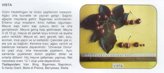 Name:  VSTA.jpg
Views: 2517
Size:  30.2 KB
