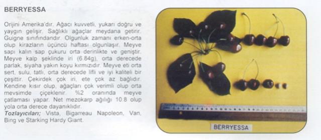 Name:  BERRYESSE.jpg
Views: 2467
Size:  27.1 KB