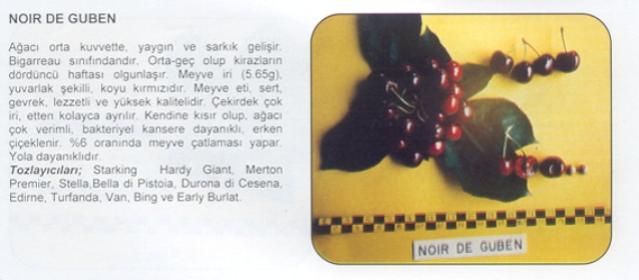 Name:  NOIR DE GUBEN.jpg
Views: 2418
Size:  25.1 KB