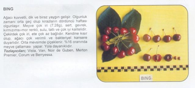 Name:  BNG.jpg
Views: 2414
Size:  24.0 KB