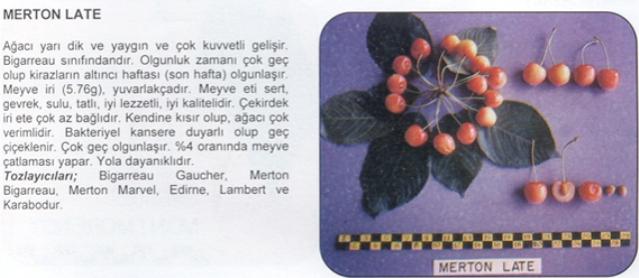 Name:  LAMBERT..jpg
Views: 2493
Size:  29.7 KB