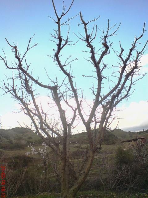 Name:  DSC01369.jpg
Views: 4129
Size:  51.7 KB