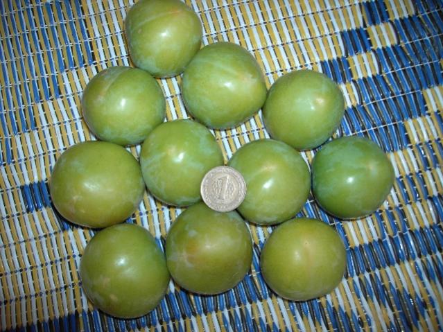 Name:  PICT0038.jpg
Views: 2177
Size:  68.9 KB