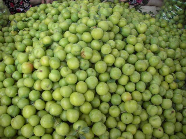Name:  PICT0151.jpg
Views: 2201
Size:  52.5 KB