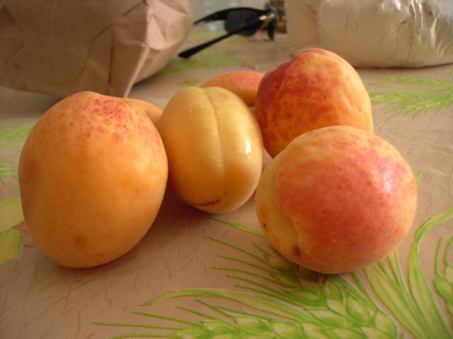 Name:  PICT0233.jpg
Views: 5981
Size:  30.5 KB