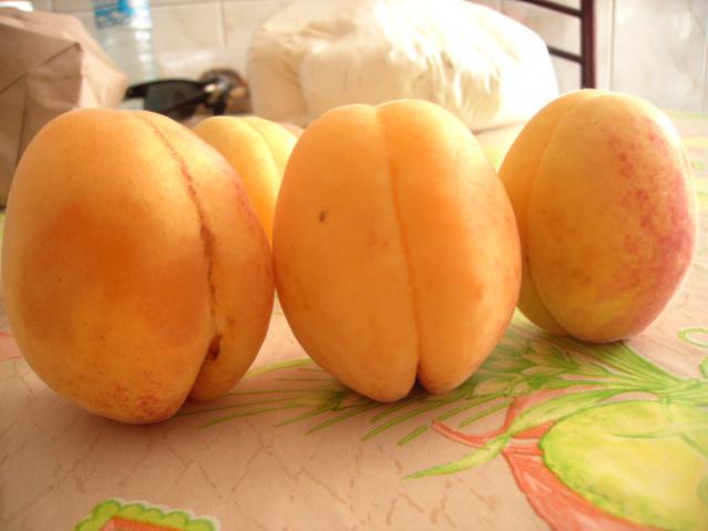 Name:  PICT0235.jpg
Views: 6539
Size:  29.1 KB