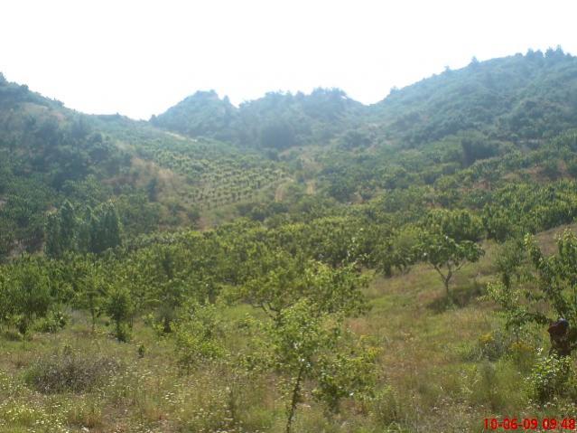 Name:  DSC00846.jpg
Views: 1742
Size:  50.6 KB