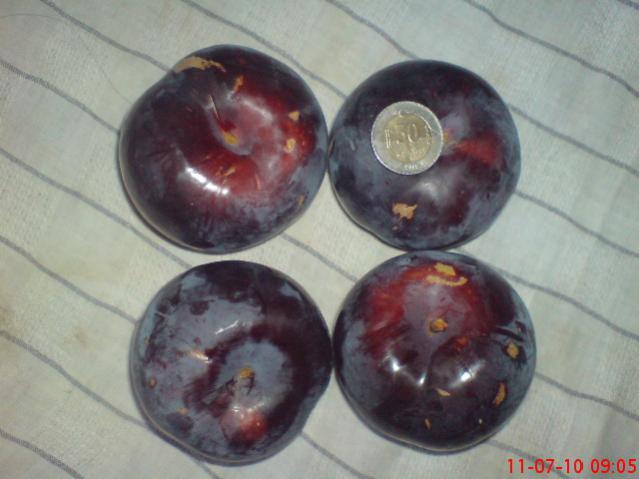 Name:  DSC01660.jpg
Views: 6706
Size:  35.9 KB