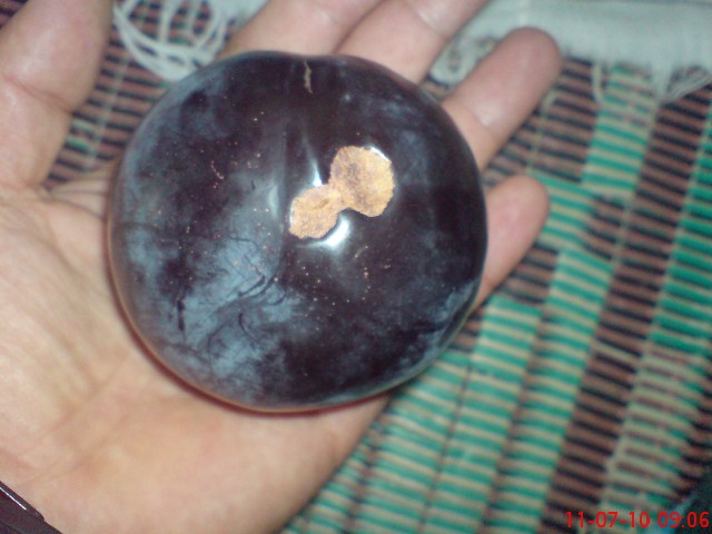 Name:  DSC01662.JPG
Views: 6687
Size:  63.6 KB