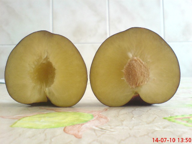 Name:  DSC01680.JPG
Views: 6589
Size:  51.5 KB