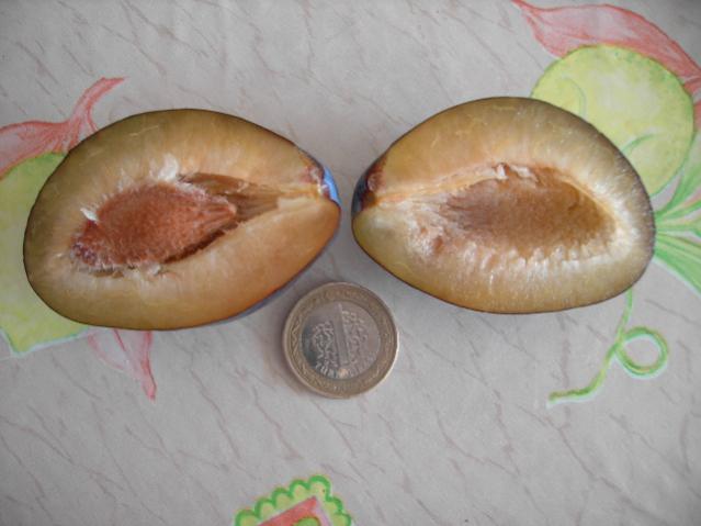 Name:  PICT0313.jpg
Views: 8190
Size:  32.6 KB