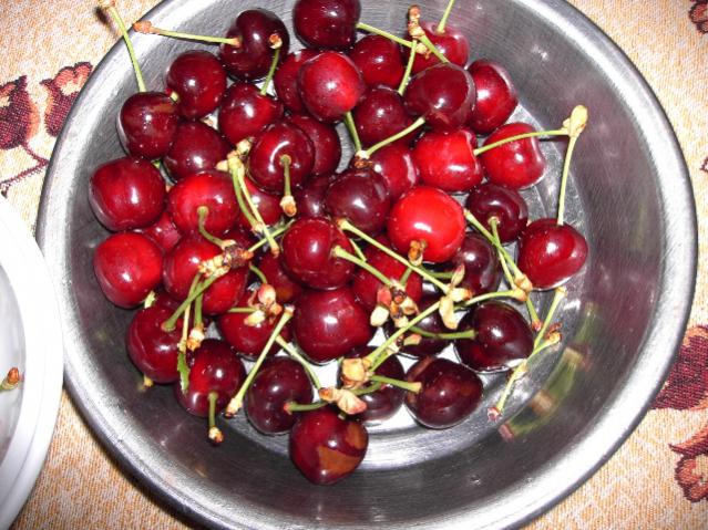 Name:  PICT0038.jpg
Views: 2007
Size:  69.9 KB