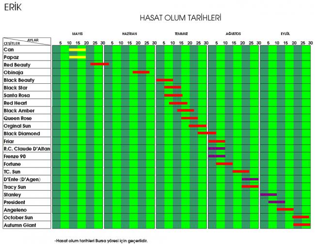 Name:  Screenshot_13.jpg
Views: 786
Size:  66.6 KB