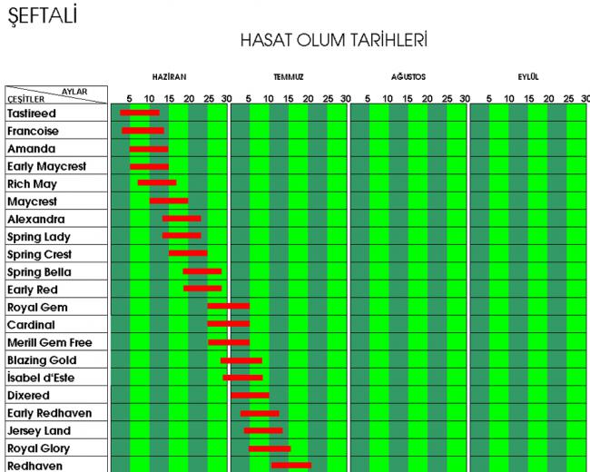 Name:  Screenshot_14.jpg
Views: 5543
Size:  66.5 KB