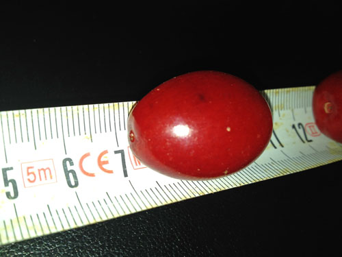 Name: 05.jpg
Views: 7841
Size: 49.1 KB