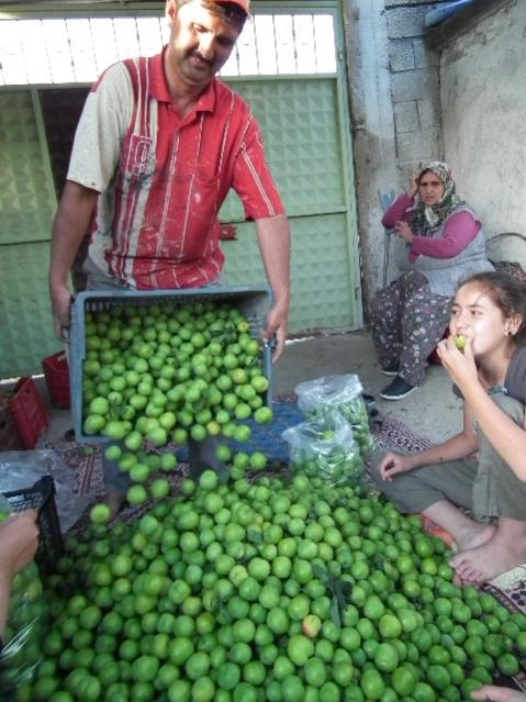 Name:  DSCF0967.jpg
Views: 2713
Size:  57.5 KB