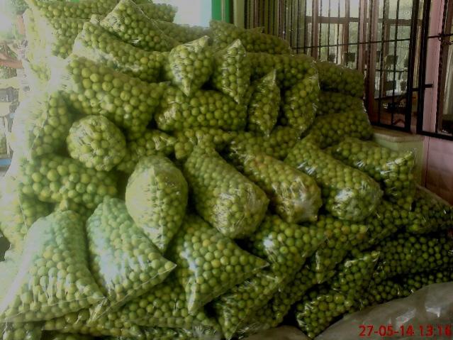 Name:  DSC03965.jpg
Views: 1859
Size:  56.2 KB