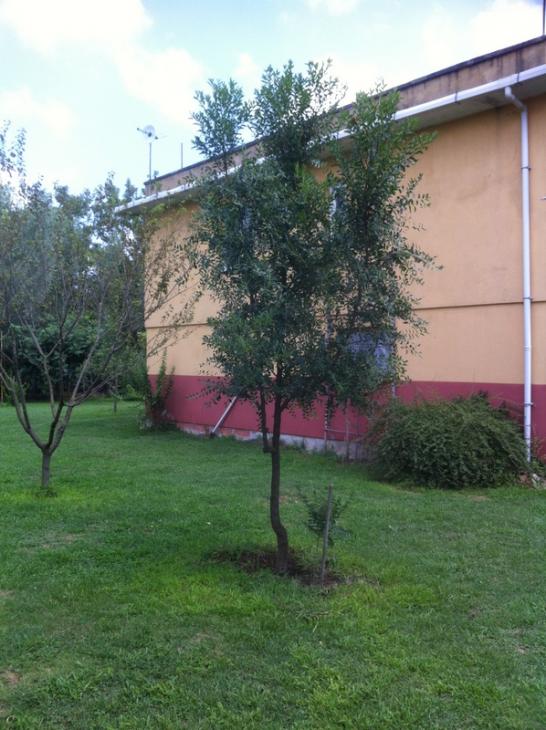 Name:  12-013.jpg
Views: 2374
Size:  69.3 KB