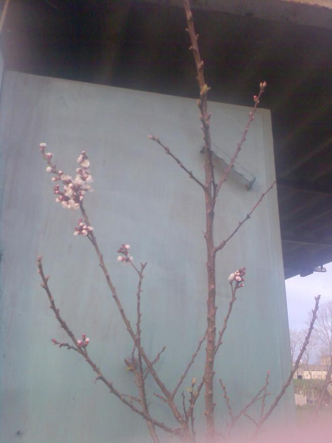 Name:  Grnt011.jpg
Views: 4453
Size:  35.9 KB