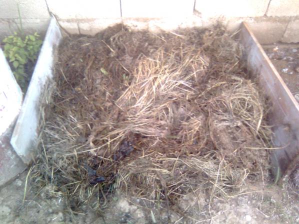 Name:  kompost_3.jpg
Views: 1907
Size:  50.3 KB