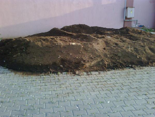 Name:  IMG00388-20120417-1813.jpg
Views: 2614
Size:  37.4 KB