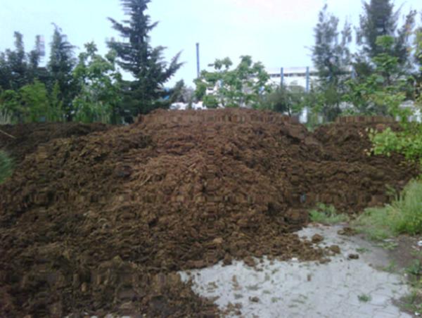 Name:  IMG00392-20120418-0947.jpg
Views: 4311
Size:  43.9 KB