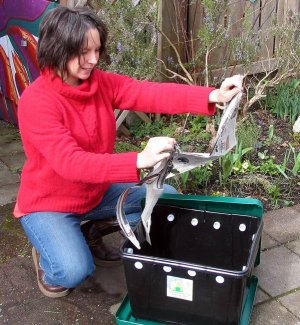 Name:  vermicompost_2.jpg
Views: 5581
Size:  34.0 KB