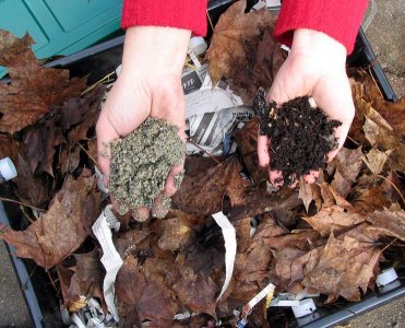Name:  vermicompost_5.jpg
Views: 5477
Size:  40.3 KB