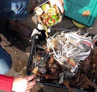 Name:  vermicompost_9.jpg
Views: 5669
Size:  34.6 KB