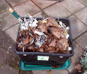 Name:  vermicompost_10.jpg
Views: 4978
Size:  40.1 KB