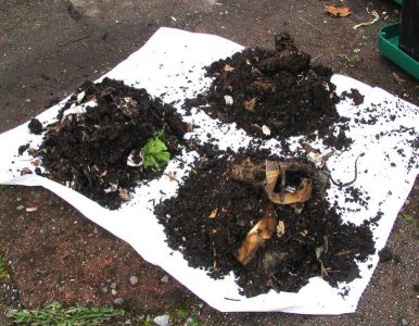 Name:  vermicompost_12.jpg
Views: 5110
Size:  44.2 KB