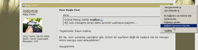 Name:  tekMesajAlIntI.jpg
Views: 2967
Size:  17.1 KB