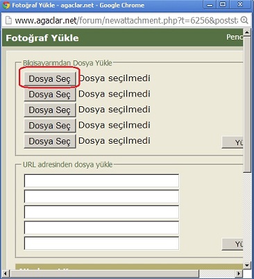 Name:  Untitled.jpg
Views: 745
Size:  52.4 KB