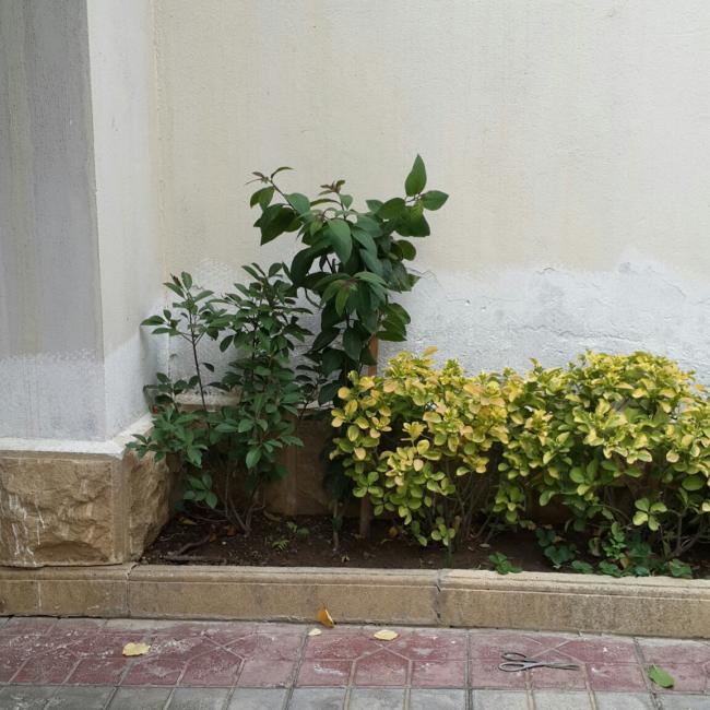 Name:  20141029_113736-2.jpg
Views: 360
Size:  66.4 KB