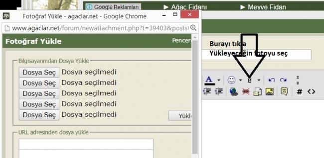 Name:  Adsz.jpg
Views: 2545
Size:  33.2 KB