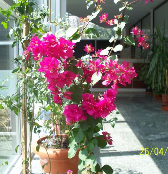 Name:  omr.bgvll.jpg
Views: 491
Size:  66.3 KB
