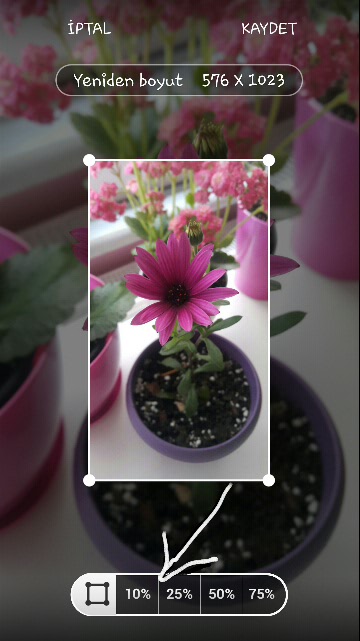 Name:  2019-04-22 18.28.56.jpg
Views: 312
Size:  53.9 KB
