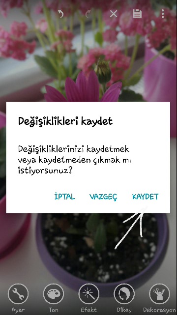 Name:  2019-04-22 18.29.42.jpg
Views: 379
Size:  52.5 KB