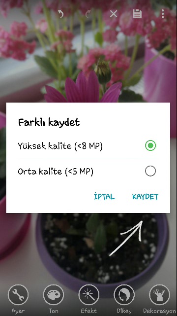 Name:  2019-04-22 18.30.13.jpg
Views: 357
Size:  46.6 KB