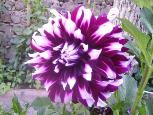 Name:  resim8.jpg
Views: 1481
Size:  38.6 KB