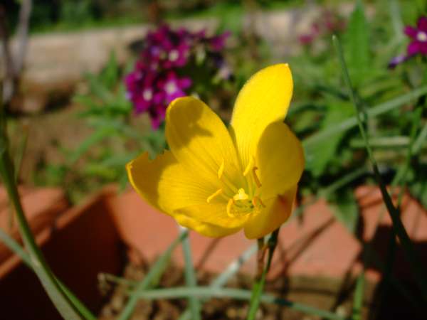 Name:  DSCF4701.JPG
Views: 1195
Size:  31.6 KB
