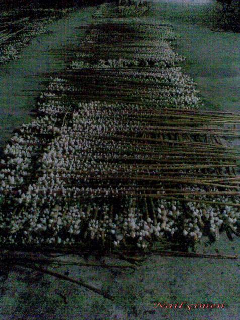 Name:  Grnt046.jpg
Views: 2552
Size:  72.5 KB