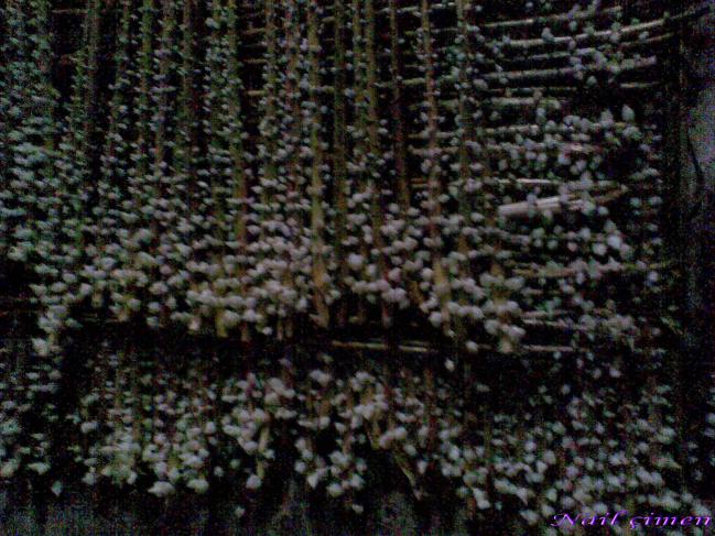 Name:  Grnt042.jpg
Views: 2614
Size:  70.3 KB