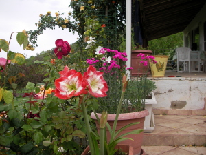 Name:  Resim 273.-1jpg.jpg
Views: 2384
Size:  65.1 KB