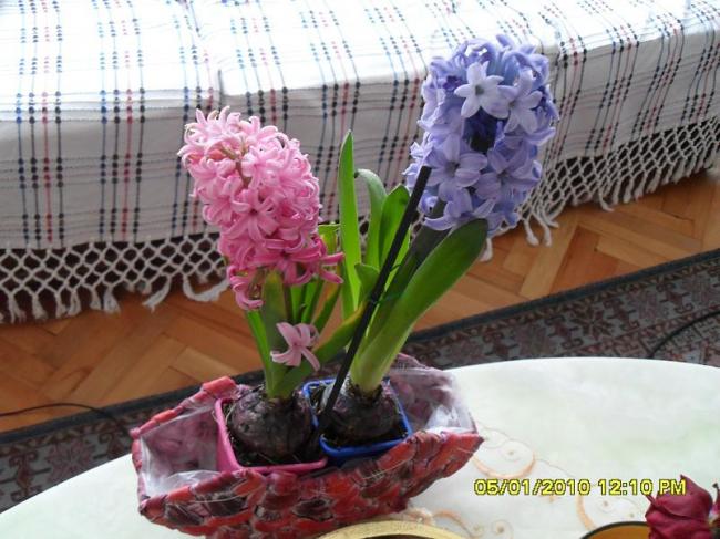 Name:  SDC11397.jpg
Views: 4022
Size:  55.3 KB